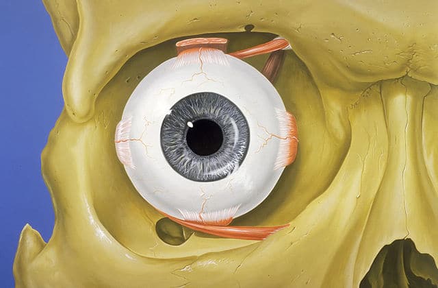 Thyroid-Associated Orbitopathy (Thyroid Eye Disease) episode artwork
