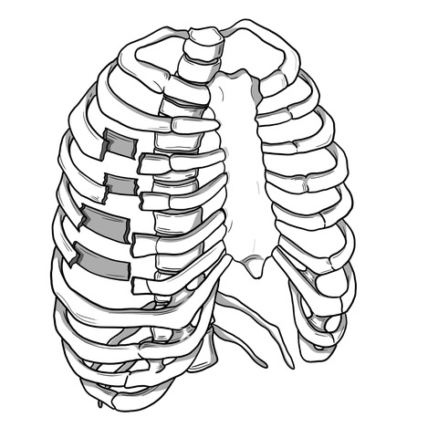 Rib Fractures episode artwork