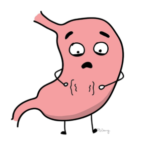 Why Does My Stomach Rumble? episode artwork